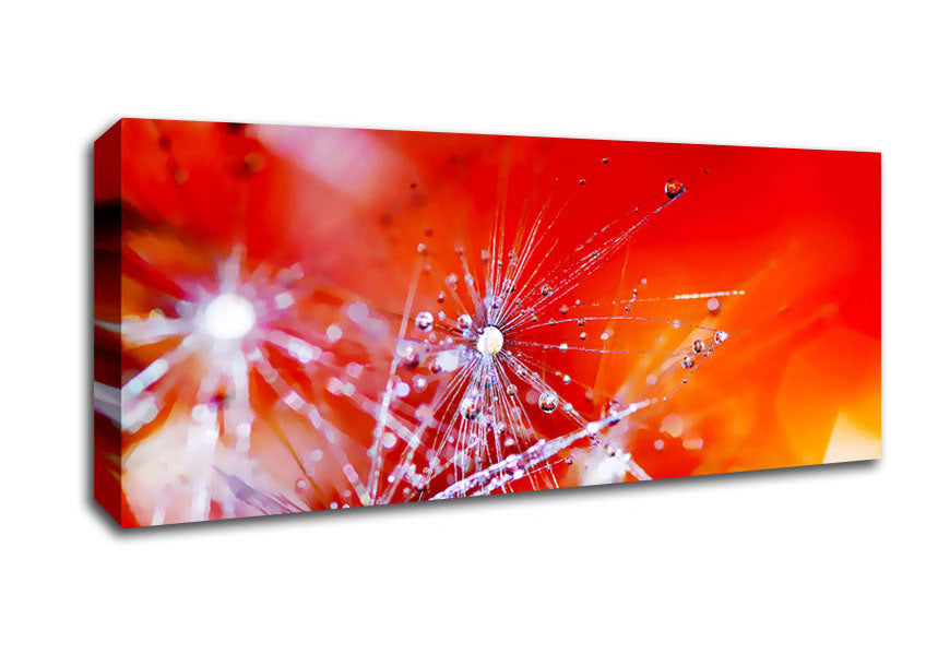 Picture of Fairy Lights Panoramic Canvas Wall Art