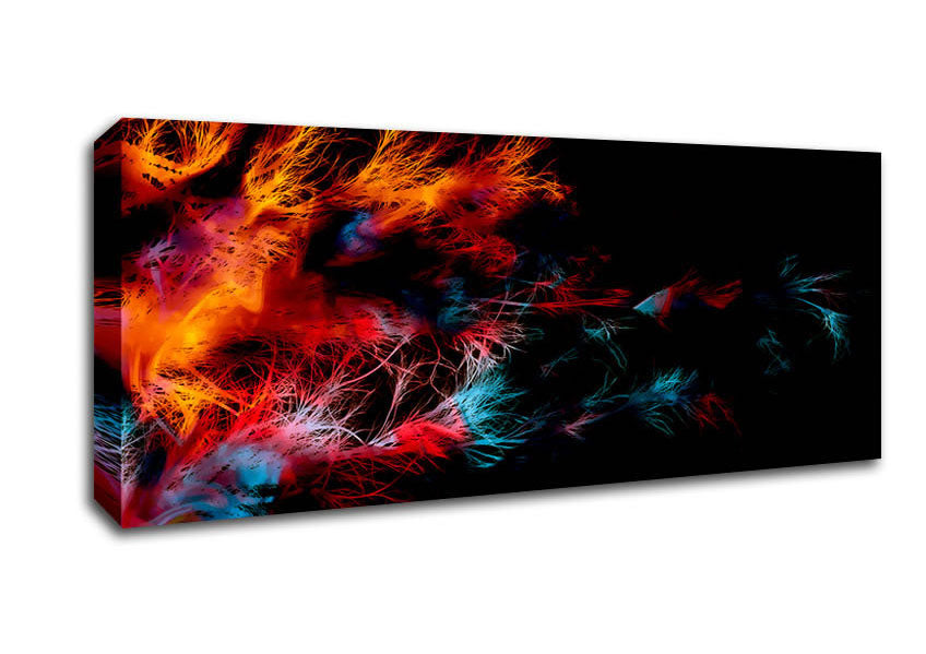Picture of Feather Delight Panoramic Canvas Wall Art