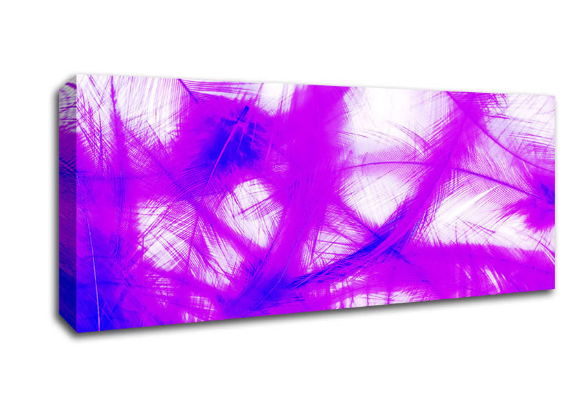 Picture of Feathers Pink Panoramic Canvas Wall Art