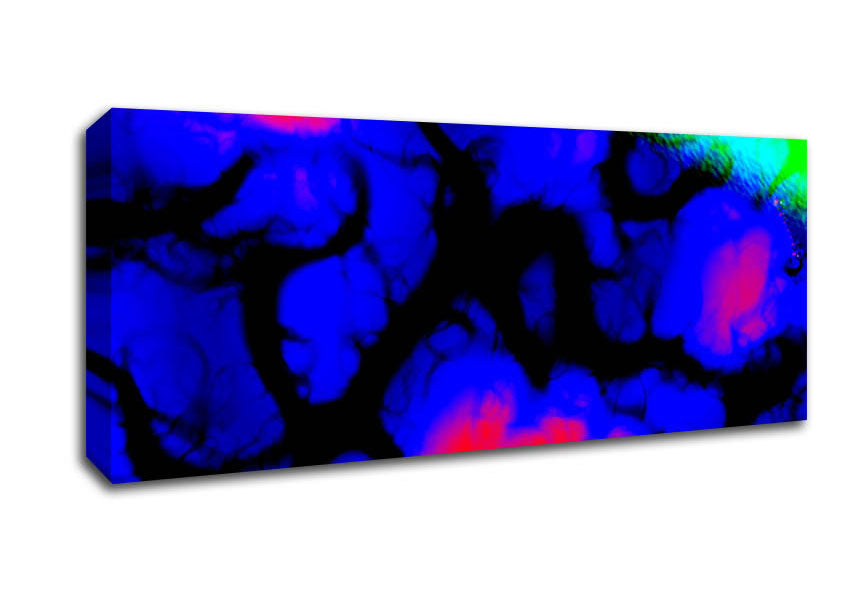 Picture of Fluorescent Glow Panoramic Canvas Wall Art