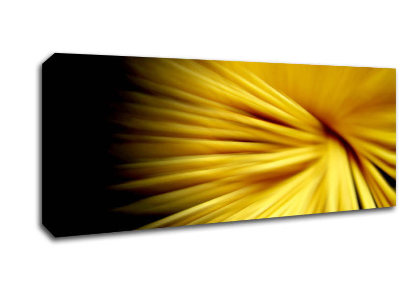 Picture of Golden Flare Panoramic Canvas Wall Art