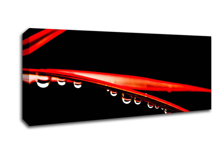 Picture of Hanging On Panoramic Canvas Wall Art
