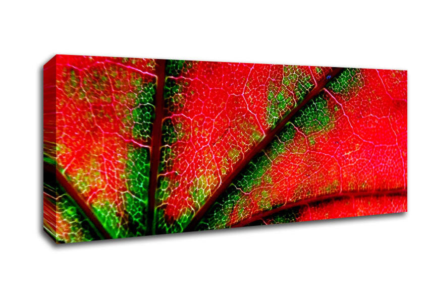 Picture of Inside A Poppy Panoramic Canvas Wall Art