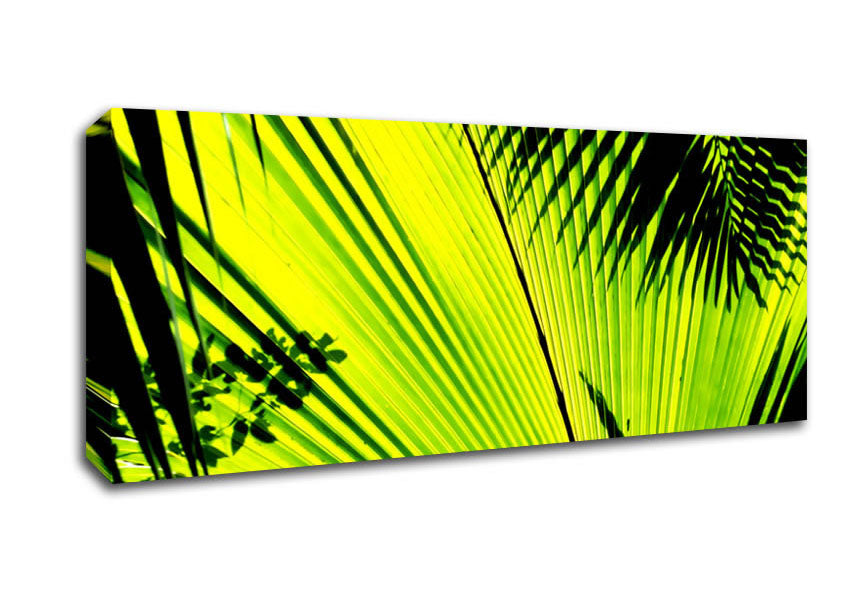 Picture of Lime Palm Tree Panoramic Canvas Wall Art