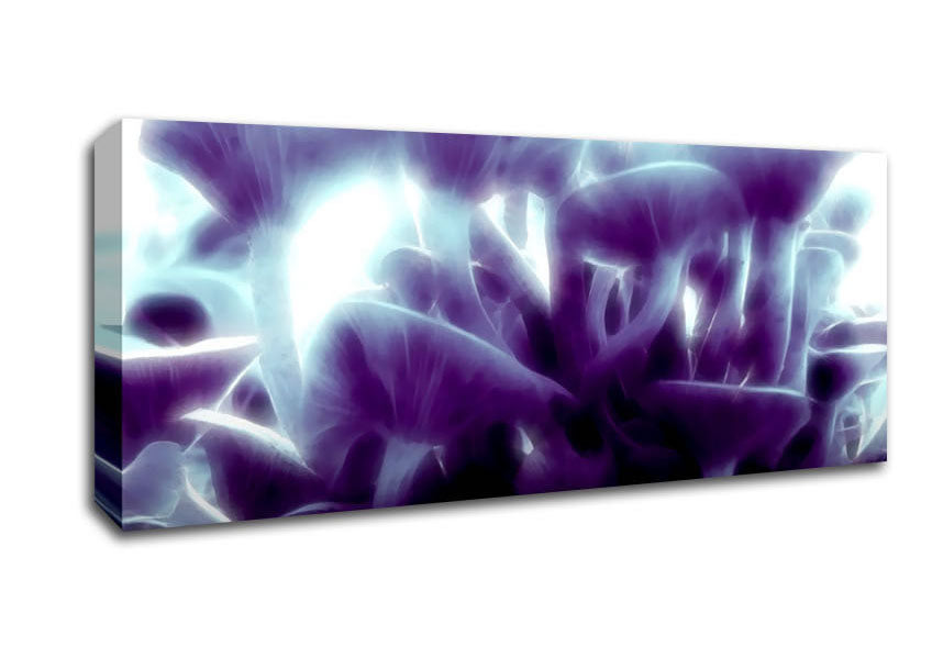 Picture of Magic Mystical Mushrooms Panoramic Canvas Wall Art