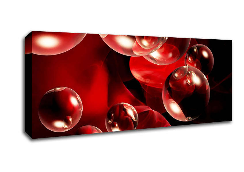 Picture of Malteser Delight Panoramic Canvas Wall Art