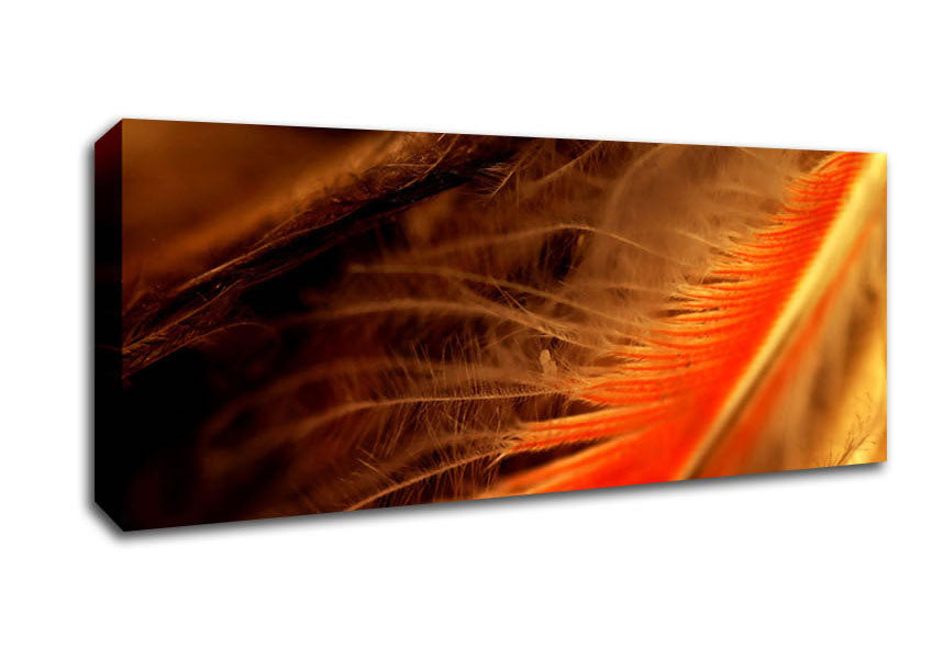 Picture of Orange Feather Macro Panoramic Canvas Wall Art
