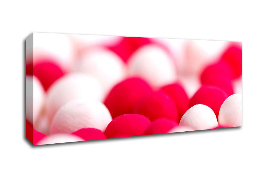 Picture of Pink And White Sweet Panoramic Canvas Wall Art