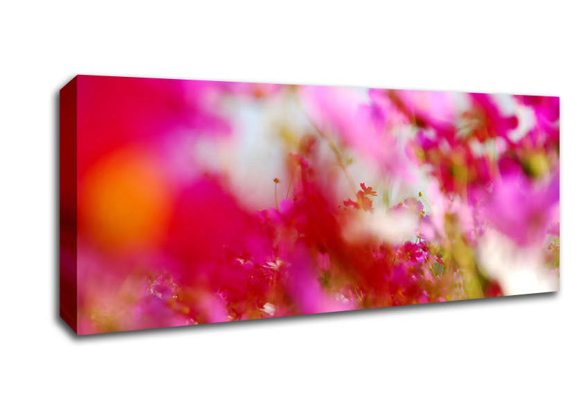 Picture of Pinkish Panoramic Canvas Wall Art