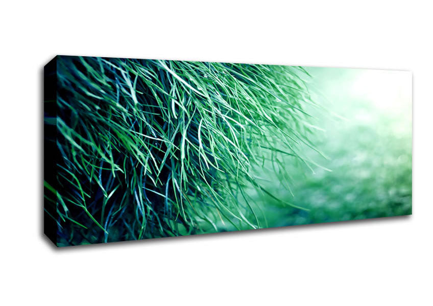 Picture of Pure Grass Panoramic Canvas Wall Art