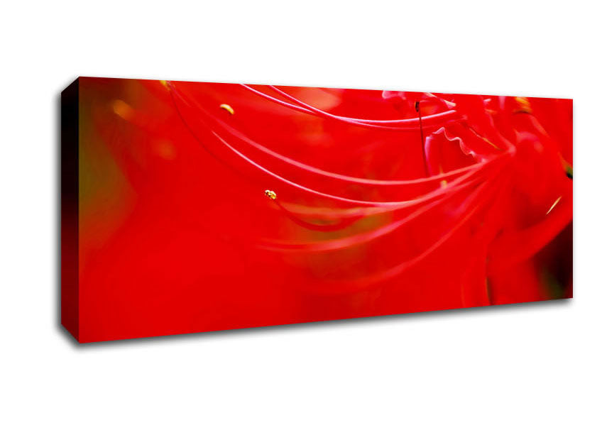 Picture of Red Heaven Panoramic Canvas Wall Art