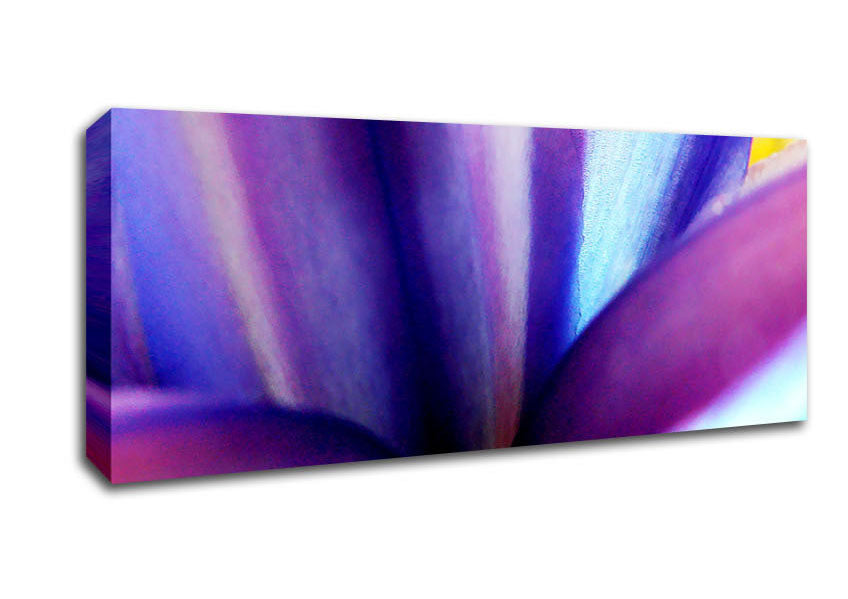 Picture of Violet Dream Panoramic Canvas Wall Art