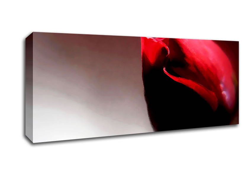 Picture of Visions Of A Rose Panoramic Canvas Wall Art