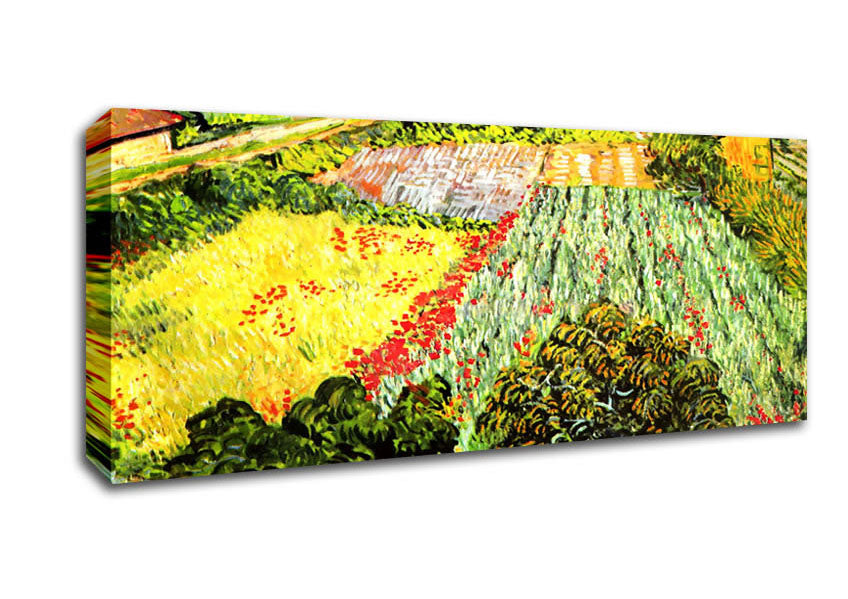 Picture of Van Gogh Blooming Field Panoramic Canvas Wall Art