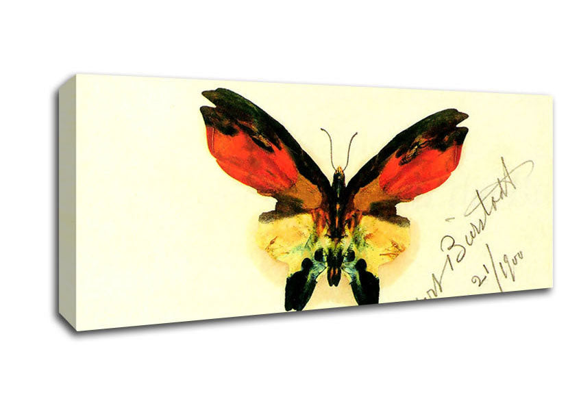 Picture of Bierstadt Butterfly 2 Panoramic Canvas Wall Art