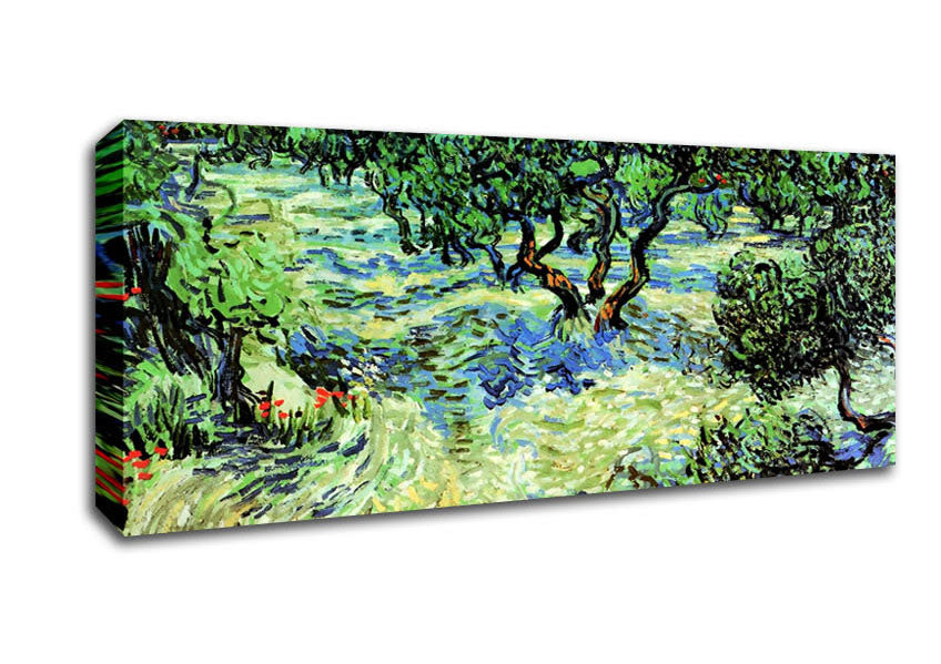 Picture of Van Gogh Olive Grove 2 Panoramic Canvas Wall Art