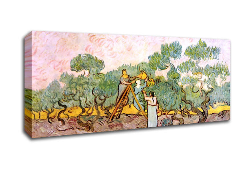 Picture of Van Gogh Olive Pickers Panoramic Canvas Wall Art