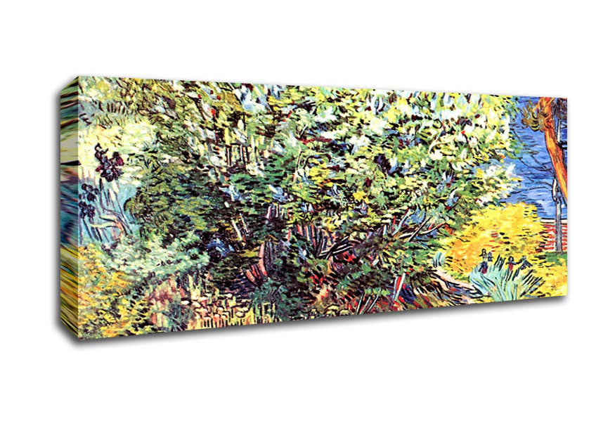 Picture of Van Gogh The Bush Panoramic Canvas Wall Art