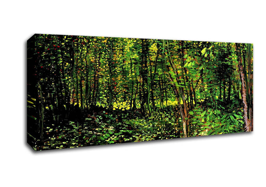Picture of Van Gogh Trees And Undergrowth [2] Panoramic Canvas Wall Art