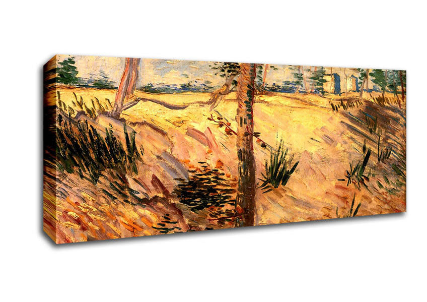 Picture of Van Gogh Trees In A Field On A Sunny Day Panoramic Canvas Wall Art
