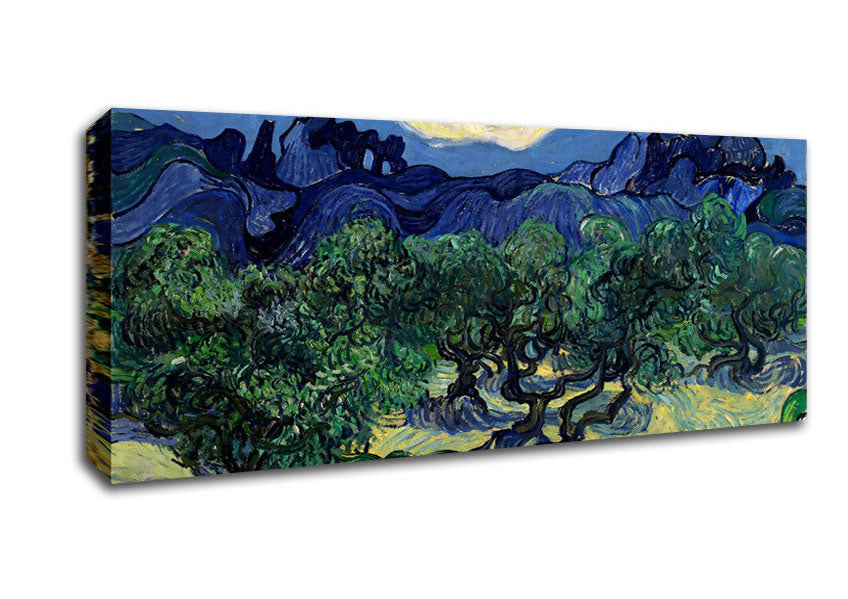 Picture of Van Gogh The Olive Trees Panoramic Canvas Wall Art