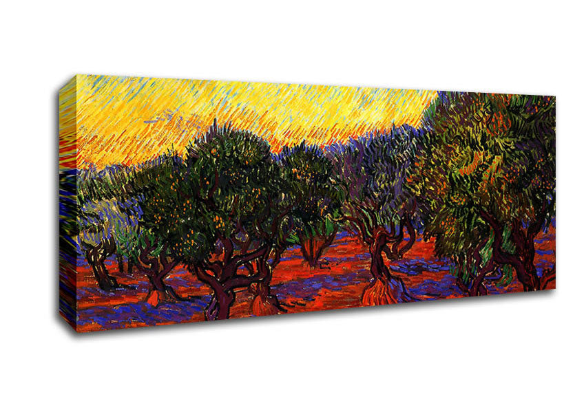 Picture of Van Gogh 1889 Olive Grove Panoramic Canvas Wall Art