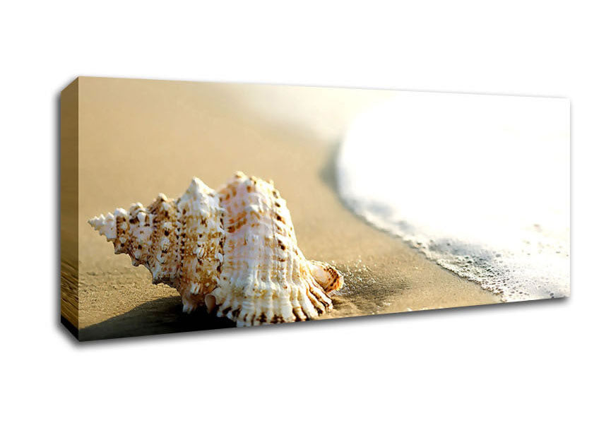 Picture of Whelk Shell On The Beach 2 Panoramic Canvas Wall Art