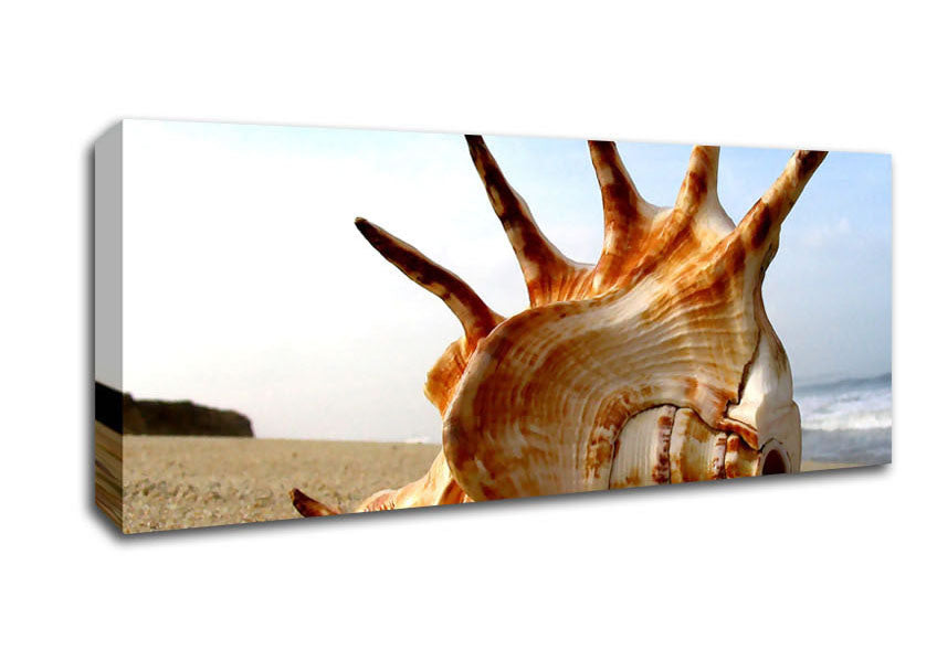 Picture of Whelk Shell On The Beach Panoramic Canvas Wall Art