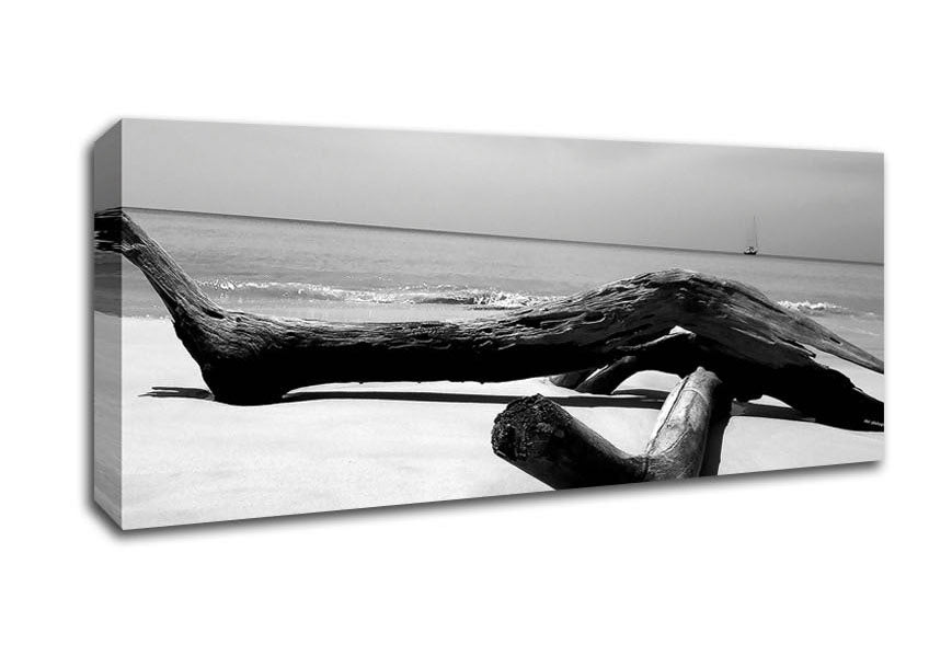 Picture of Ocean Drift Wood On The Shore B n W Panoramic Canvas Wall Art