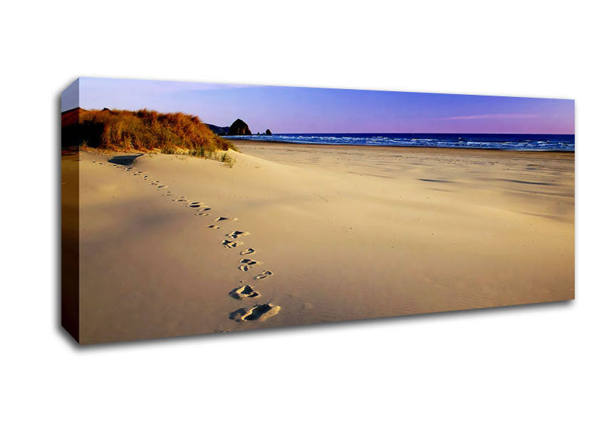 Picture of Footprints Of Time Panoramic Canvas Wall Art