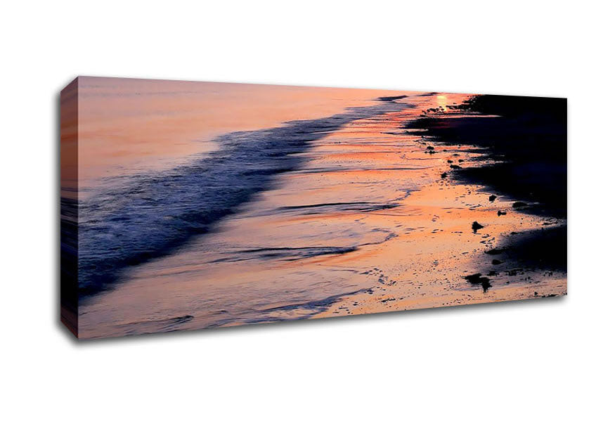 Picture of Pink Delight Panoramic Canvas Wall Art