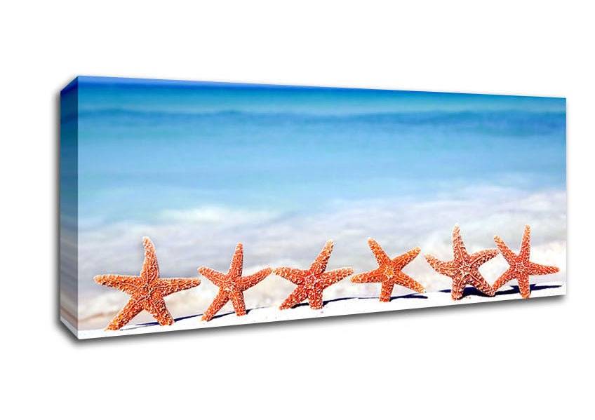 Picture of Star Fish Line-up Panoramic Canvas Wall Art