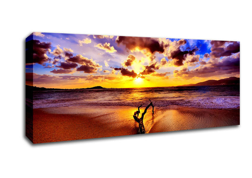 Picture of Stunning Ocean Driftwood Panoramic Canvas Wall Art