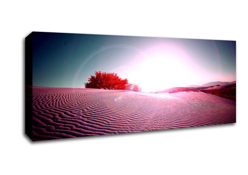 Picture of Desert Flare Panoramic Canvas Wall Art