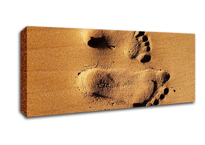 Picture of Footprints In The Sands Of Time Panoramic Canvas Wall Art