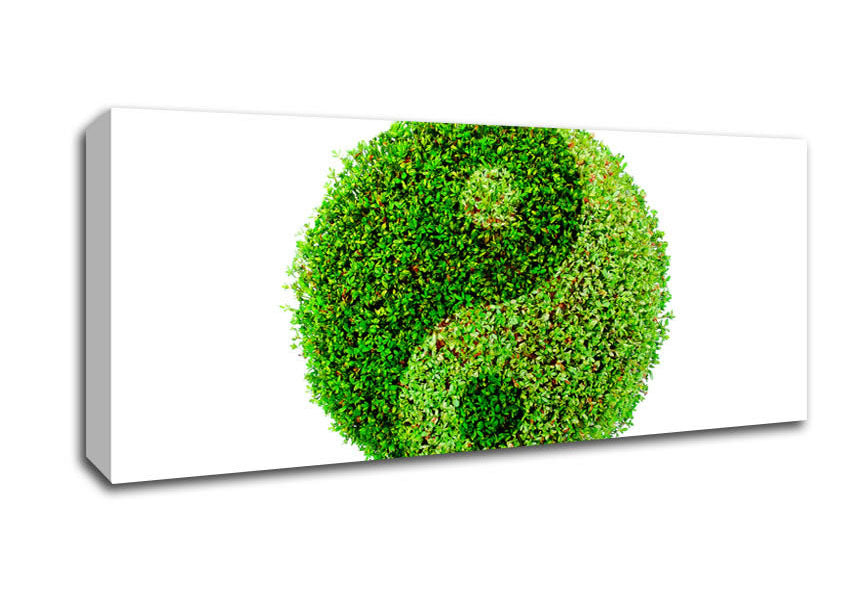 Picture of Ying And Yang Panoramic Canvas Wall Art