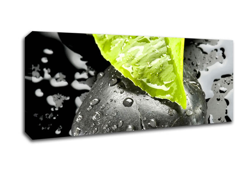 Picture of Zen Stone And Leaf Panoramic Canvas Wall Art