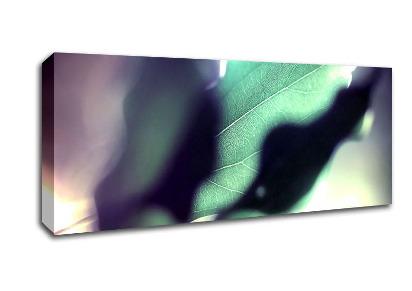 Picture of Leaves Hidding From The Light Panoramic Canvas Wall Art