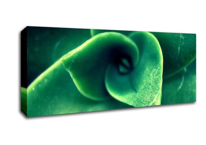 Picture of Green Light From The New Leaves Panoramic Canvas Wall Art