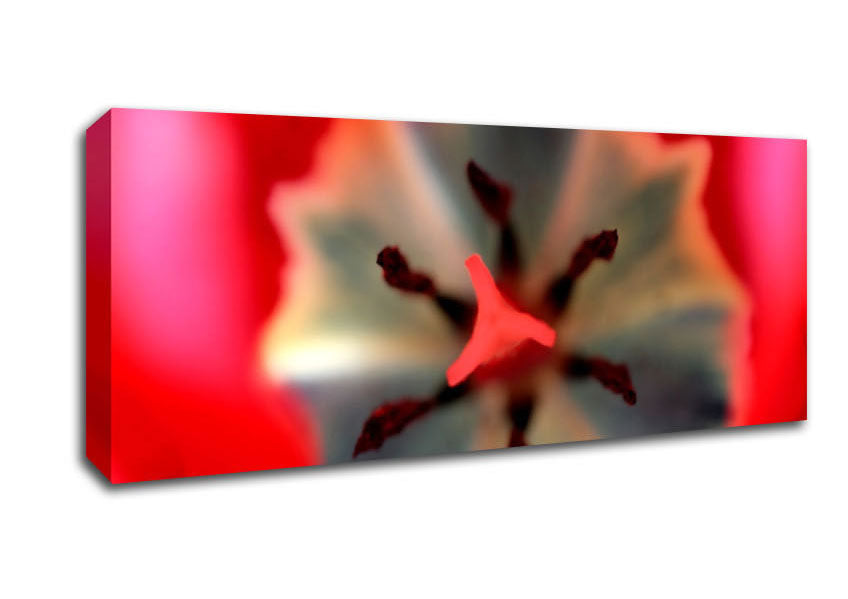 Picture of Inside A Tulip Panoramic Canvas Wall Art