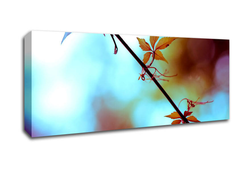 Picture of Leaves Close Up Panoramic Canvas Wall Art