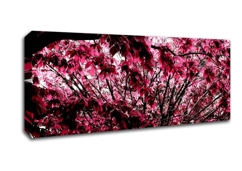 Picture of Pink Tree Panoramic Canvas Wall Art