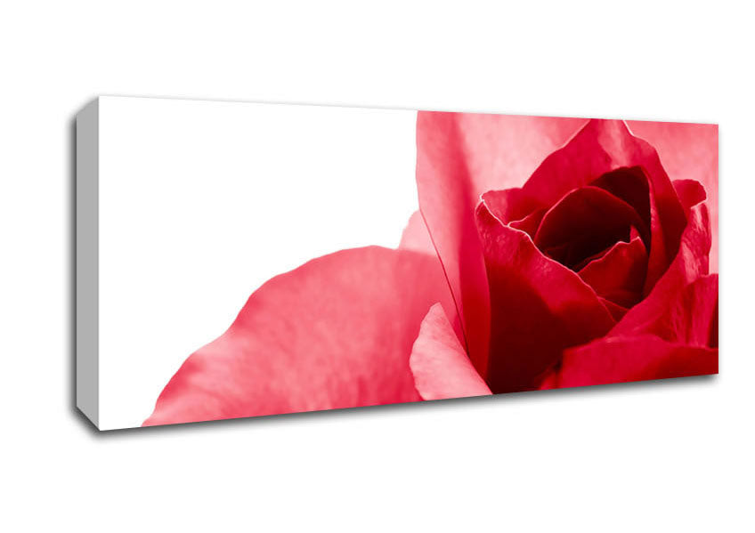 Picture of Pure Panoramic Canvas Wall Art