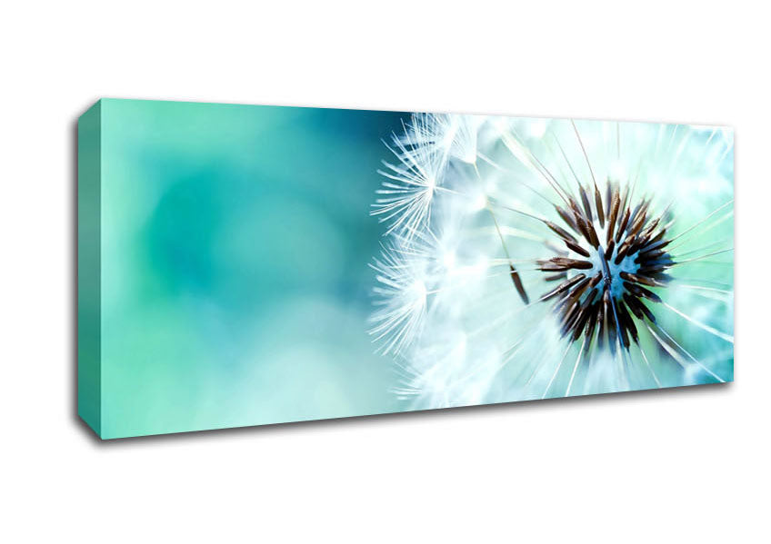 Picture of Dandelion Flower Wish Panoramic Canvas Wall Art