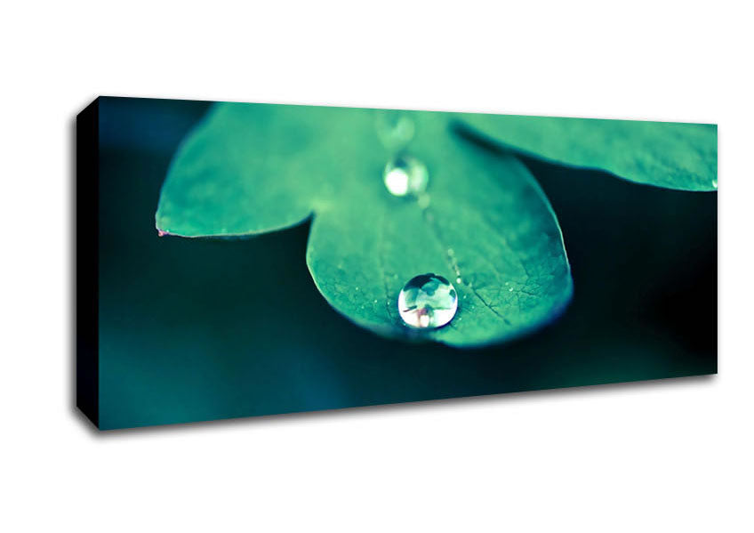 Picture of Drop Of Water Macro Panoramic Canvas Wall Art