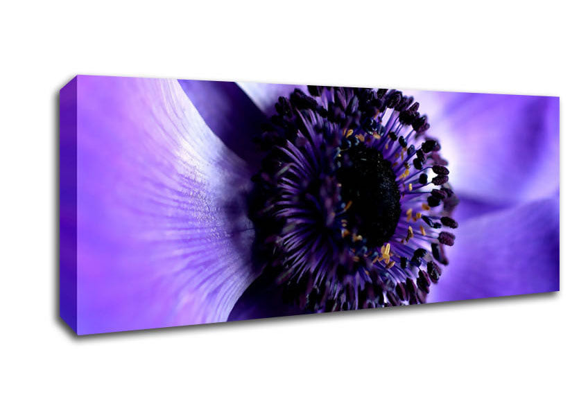Picture of Purple Centre Close-up Panoramic Canvas Wall Art