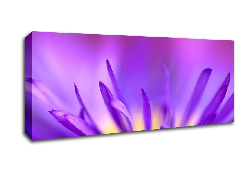 Picture of Delicate Purple Petals Panoramic Canvas Wall Art