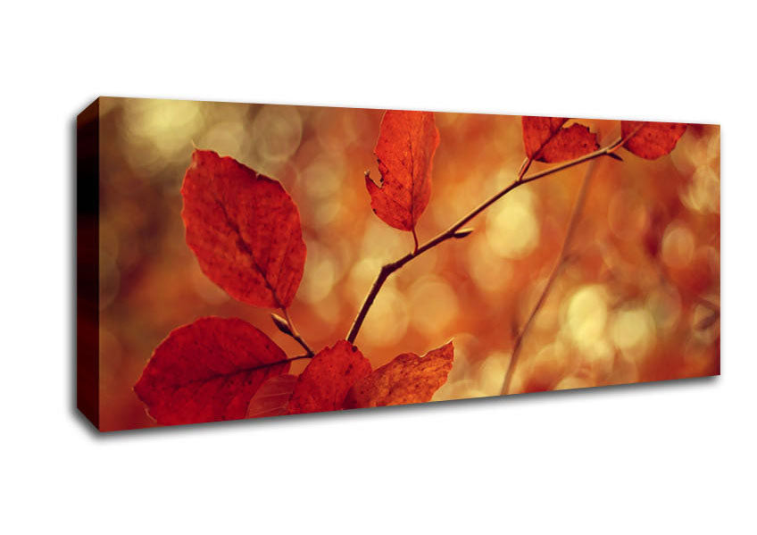 Picture of Leaves In Autumn Panoramic Canvas Wall Art