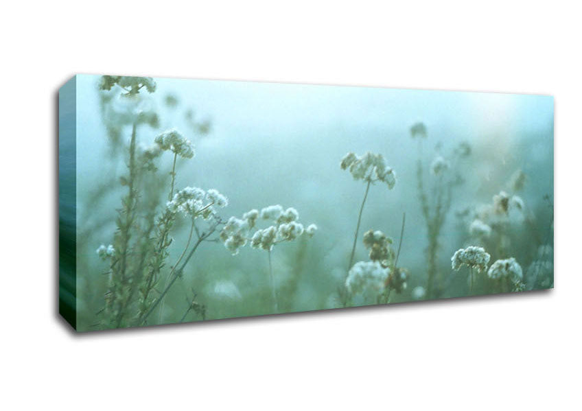 Picture of Fragile Beauty Panoramic Canvas Wall Art
