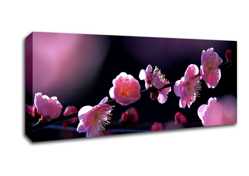 Picture of Pink Blossom Flowers Panoramic Canvas Wall Art